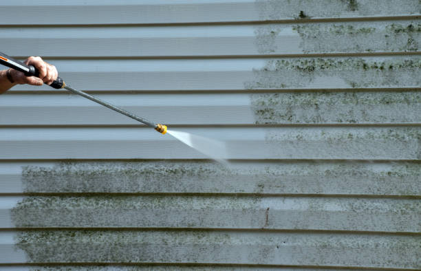 Best House Exterior Washing  in Morningside, MD